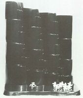 1981_1990\1985.0350zw.jpg; 1985.0350; ;